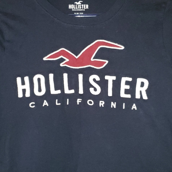 Gently worn Slim Fit Longsleeve Hollister Tee - Picture 4 of 6